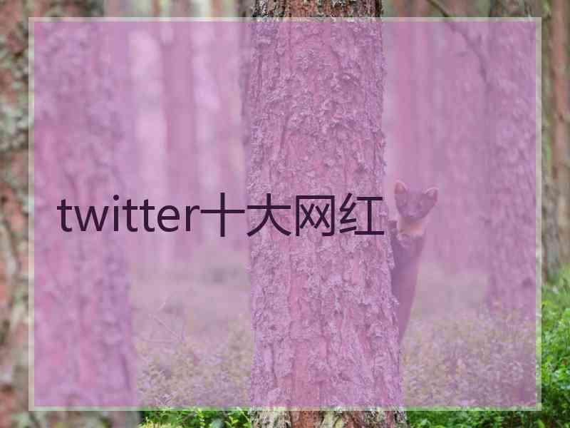 twitter十大网红