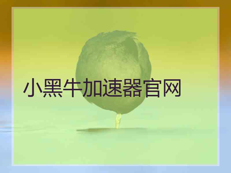 小黑牛加速器官网