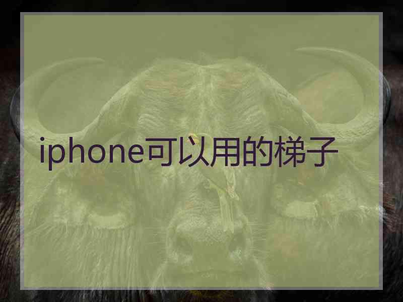 iphone可以用的梯子