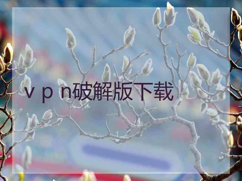 v p n破解版下载