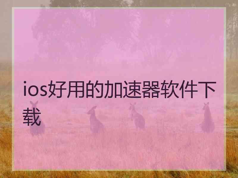 ios好用的加速器软件下载