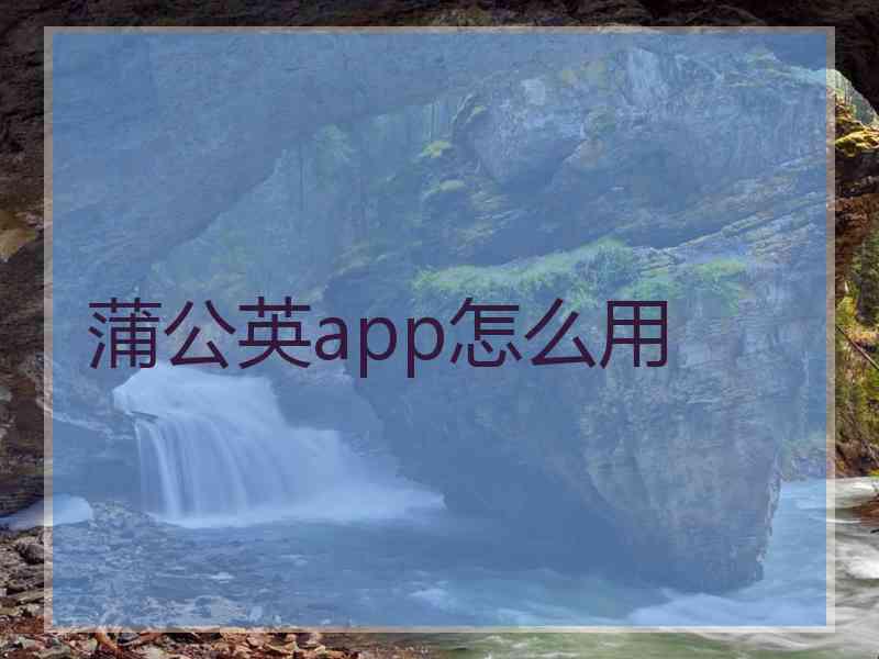 蒲公英app怎么用