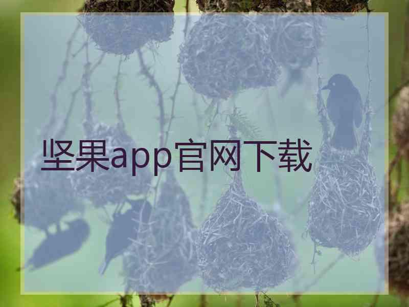 坚果app官网下载