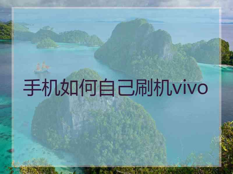 手机如何自己刷机vivo