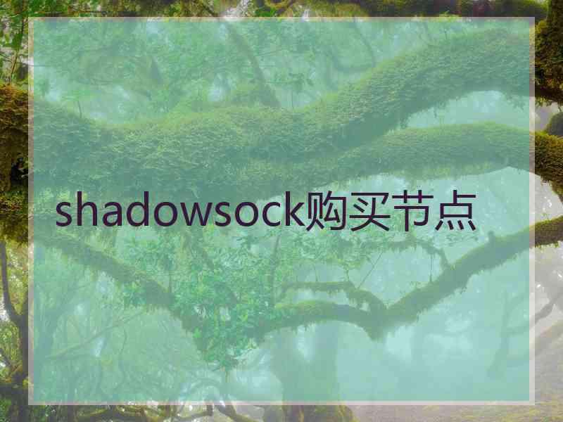 shadowsock购买节点