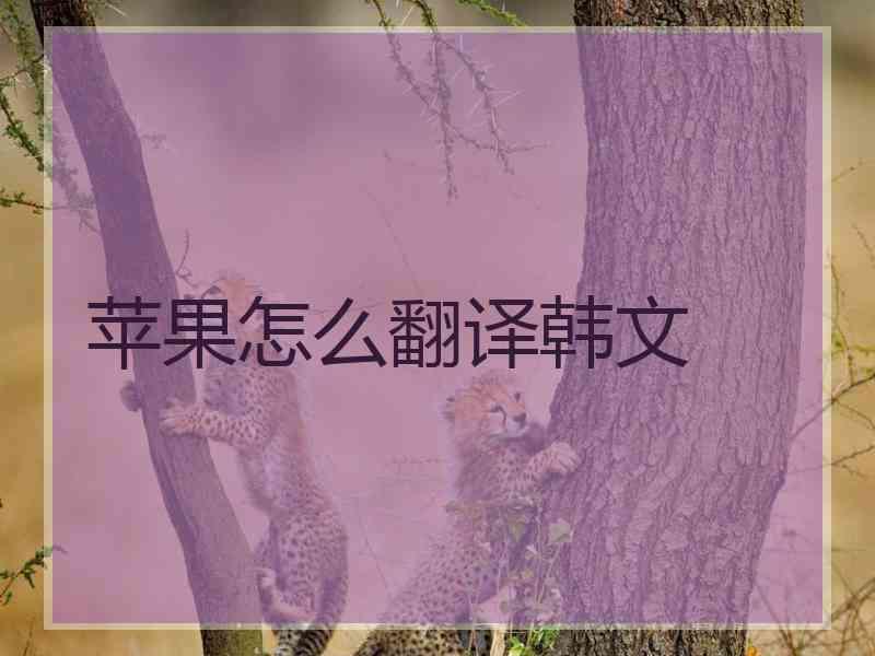 苹果怎么翻译韩文