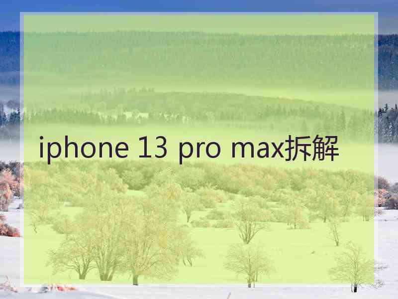 iphone 13 pro max拆解