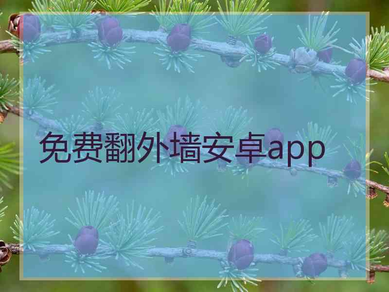 免费翻外墙安卓app