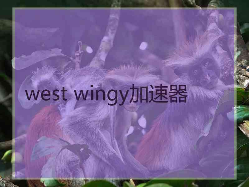 west wingy加速器