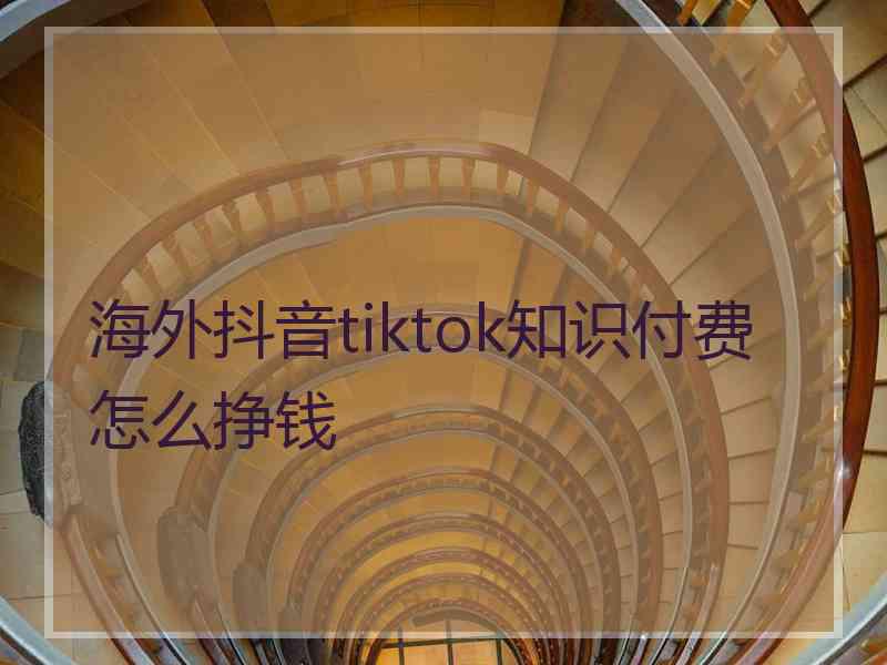 海外抖音tiktok知识付费怎么挣钱