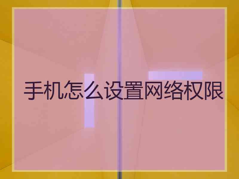 手机怎么设置网络权限