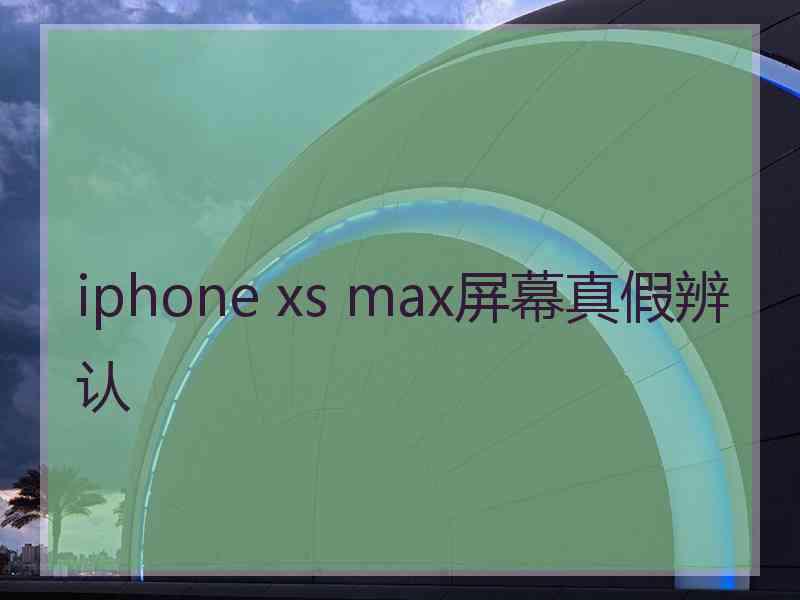 iphone xs max屏幕真假辨认