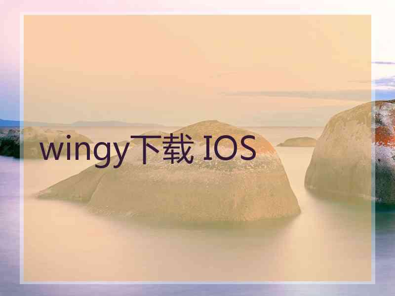 wingy下载 IOS