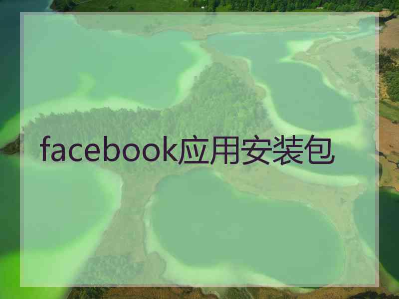 facebook应用安装包