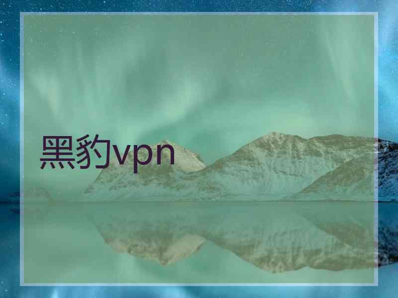 黑豹vpn