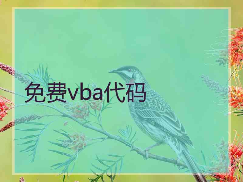 免费vba代码