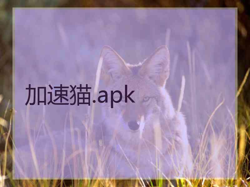 加速猫.apk