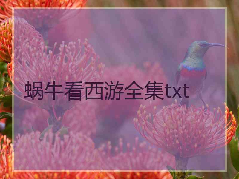 蜗牛看西游全集txt