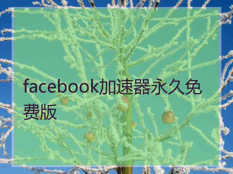 facebook加速器永久免费版