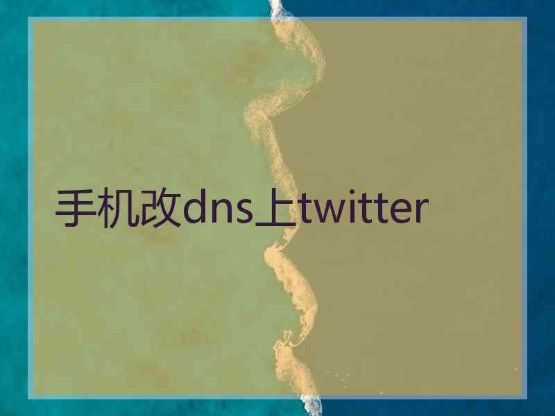 手机改dns上twitter