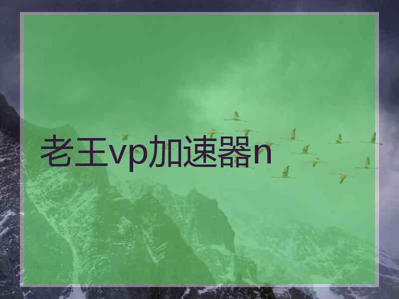 老王vp加速器n