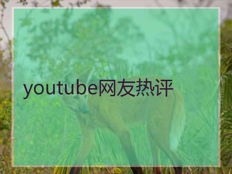 youtube网友热评