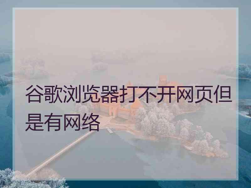 谷歌浏览器打不开网页但是有网络