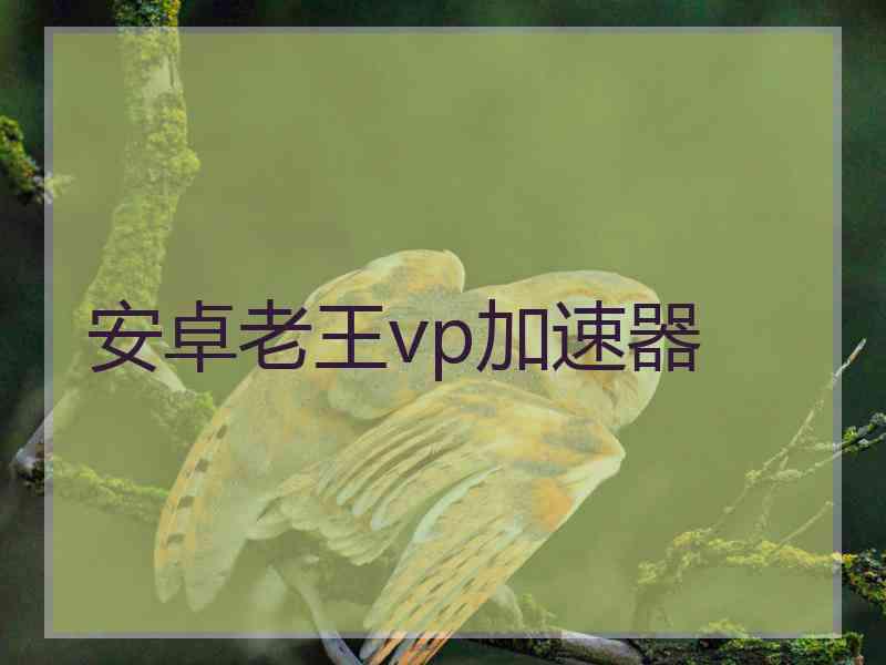 安卓老王vp加速器