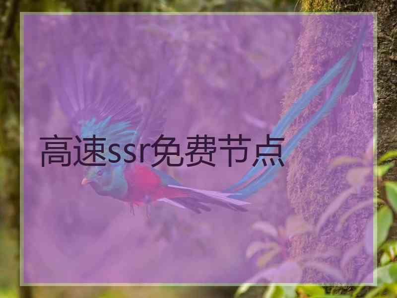 高速ssr免费节点