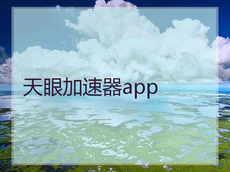 天眼加速器app