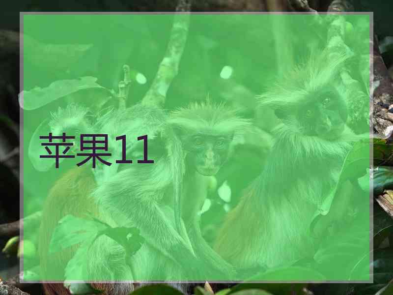 苹果11