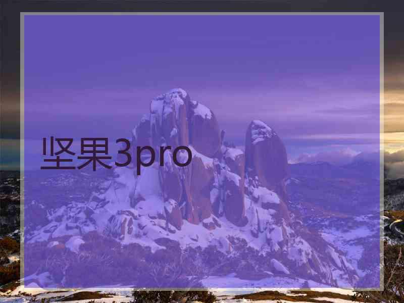 坚果3pro