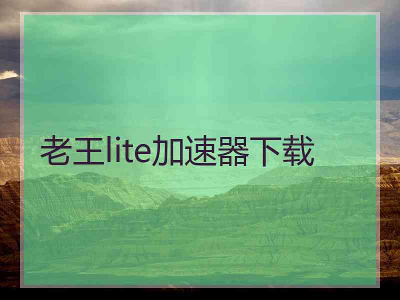 老王lite加速器下载