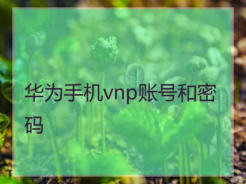 华为手机vnp账号和密码