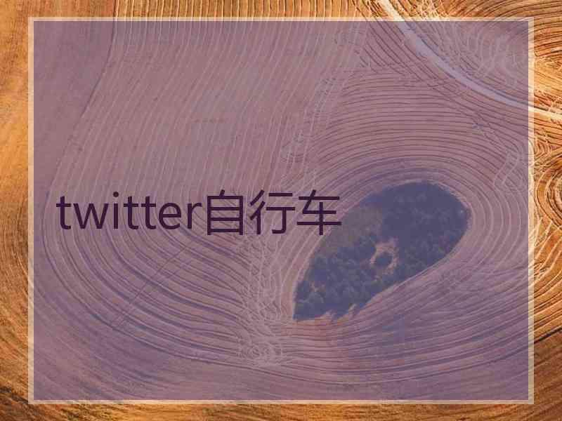 twitter自行车