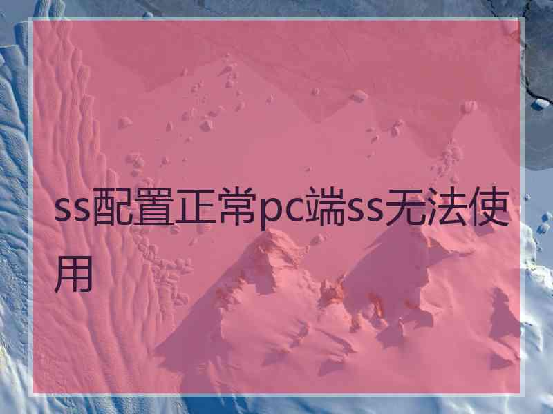 ss配置正常pc端ss无法使用