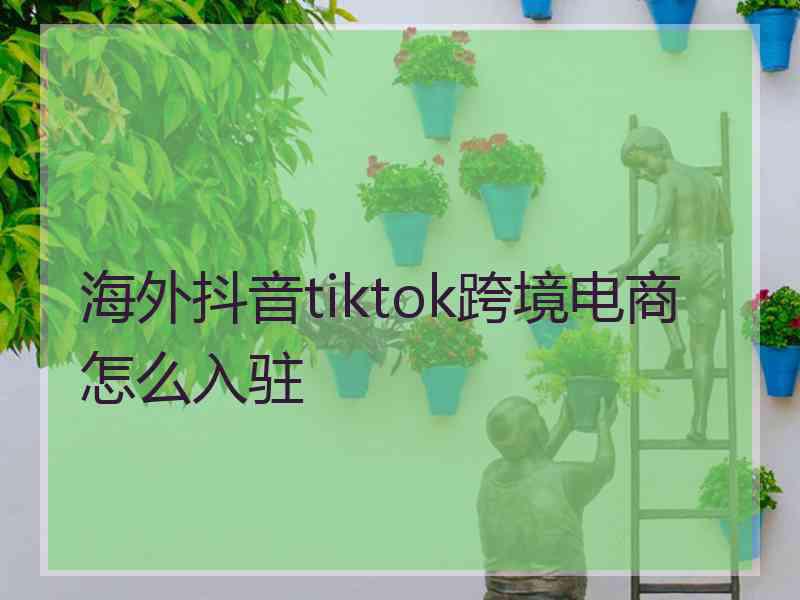 海外抖音tiktok跨境电商怎么入驻