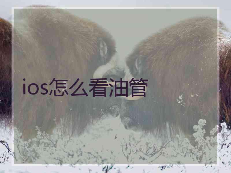 ios怎么看油管