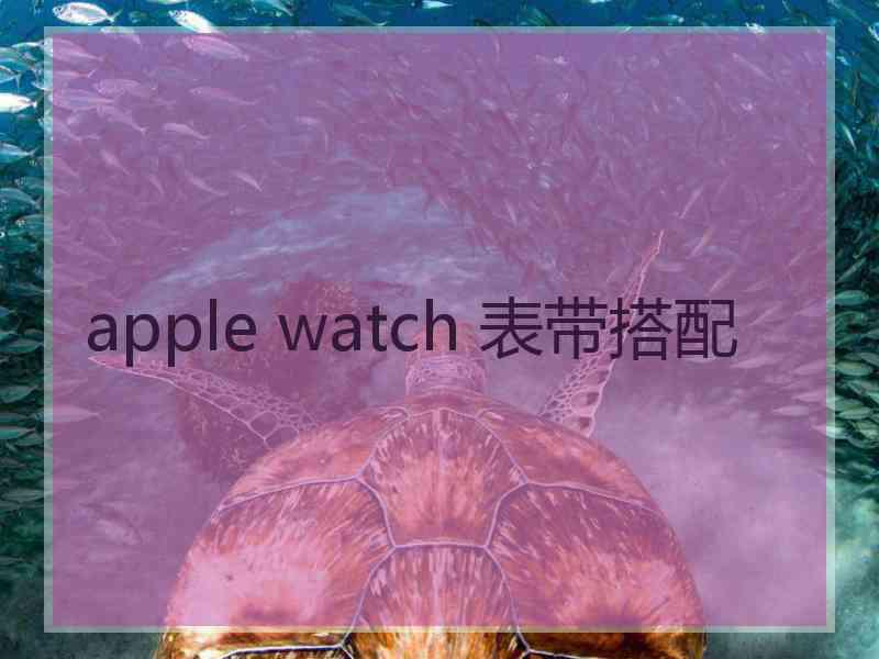 apple watch 表带搭配