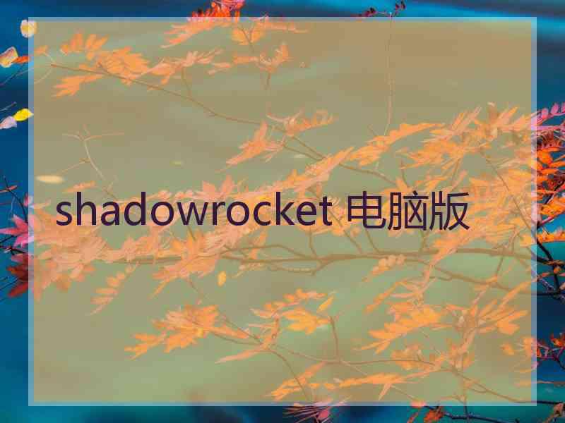 shadowrocket 电脑版