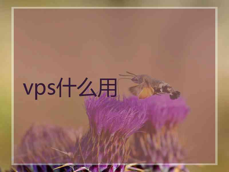 vps什么用