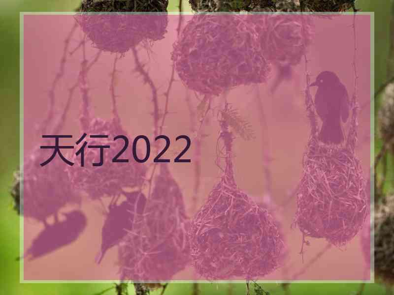 天行2022