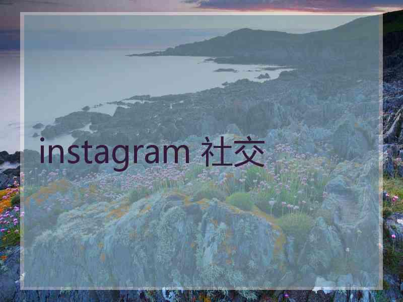 instagram 社交