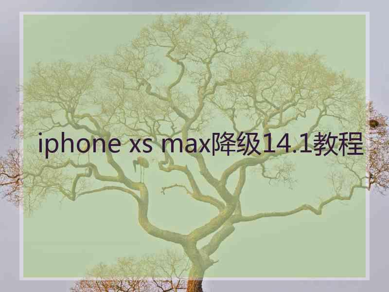 iphone xs max降级14.1教程