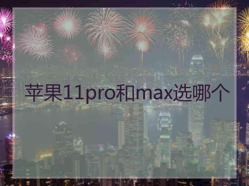 苹果11pro和max选哪个