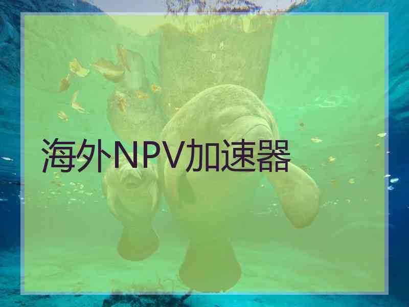 海外NPV加速器