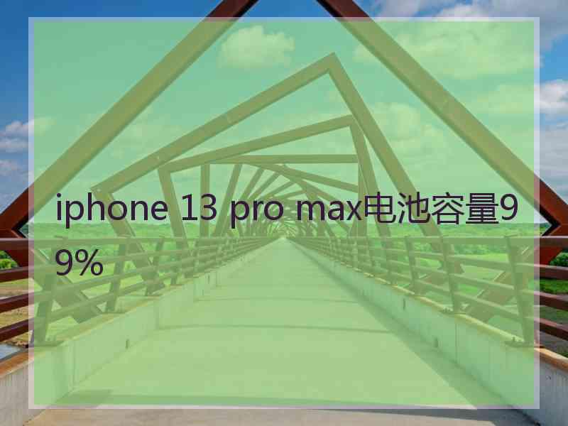 iphone 13 pro max电池容量99%