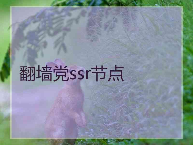 翻墙党ssr节点