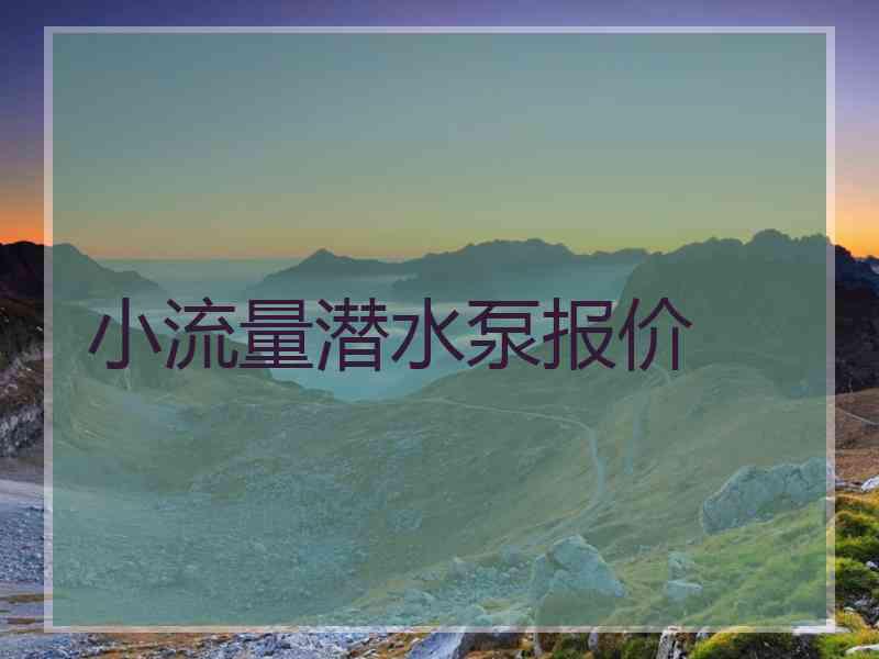 小流量潜水泵报价