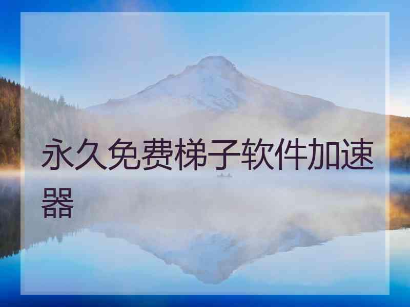 永久免费梯子软件加速器